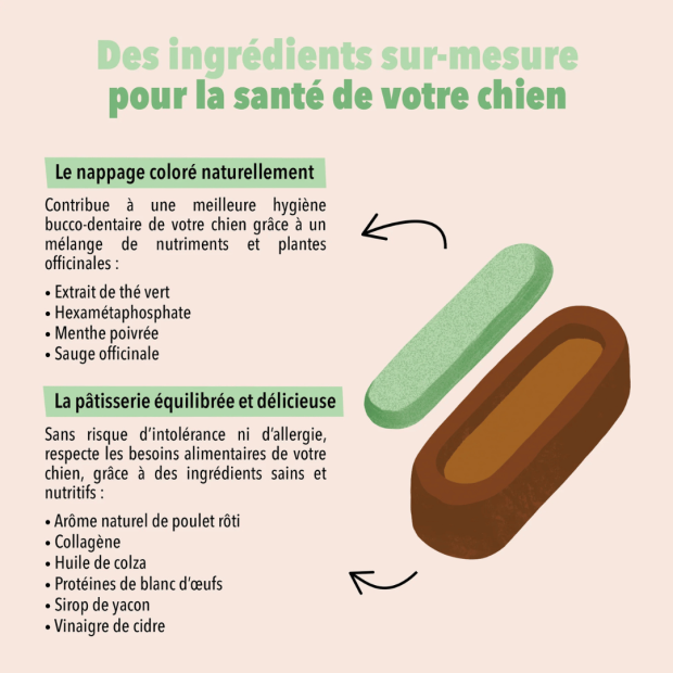 Le Moelleux Hygiène Bucco-Dentaire Delamour – Pâtisserie naturelle