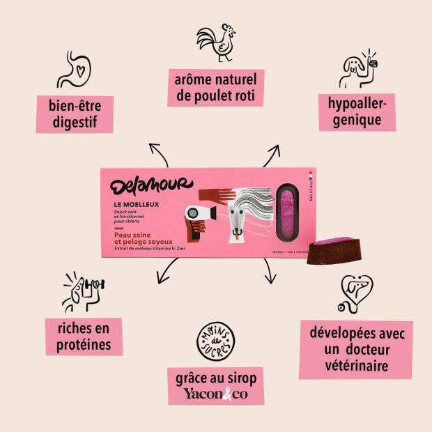 Le Moelleux Pelage Soyeux Delamour – Pâtisserie naturelle pour chien beau