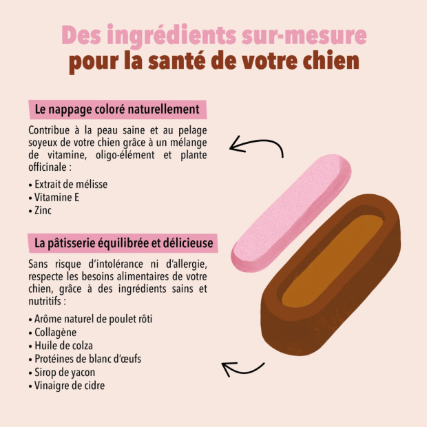 Le Moelleux Pelage Soyeux Delamour – Pâtisserie naturelle pour chien beau