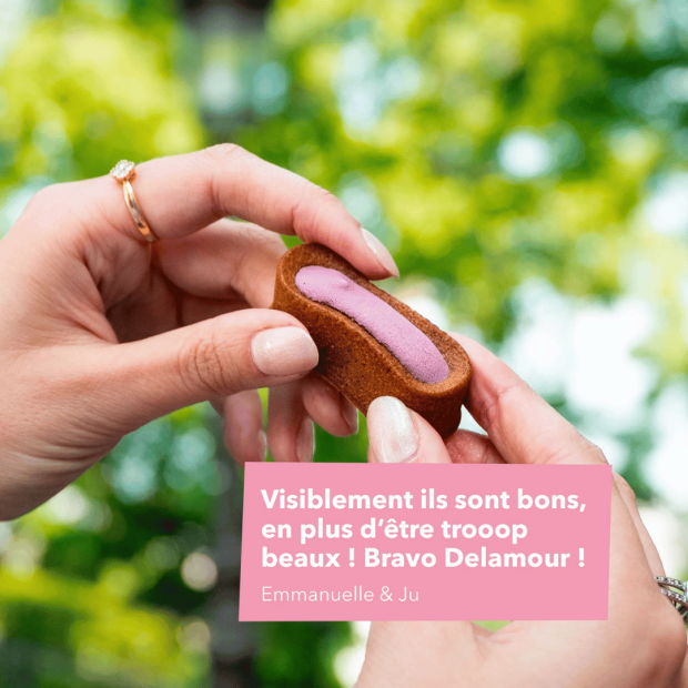 Le Moelleux Pelage Soyeux Delamour – Pâtisserie naturelle pour chien beau