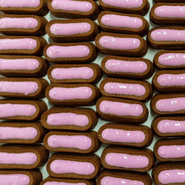 Le Moelleux Pelage Soyeux Delamour – Pâtisserie naturelle pour chien beau