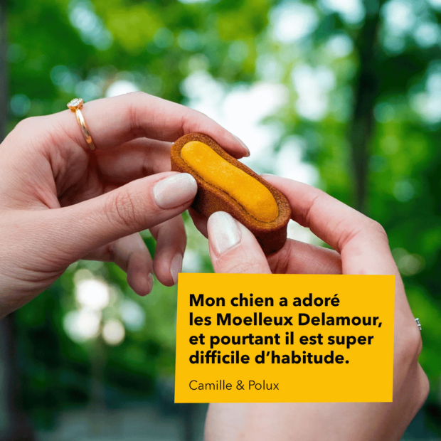 Le Moelleux Immunité – Pâtisserie naturelle pour chien