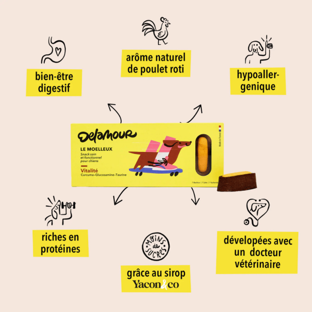 Le Moelleux Vitalité – Pâtisserie naturelle pour chien