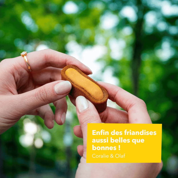 Le Moelleux Vitalité – Pâtisserie naturelle pour chien