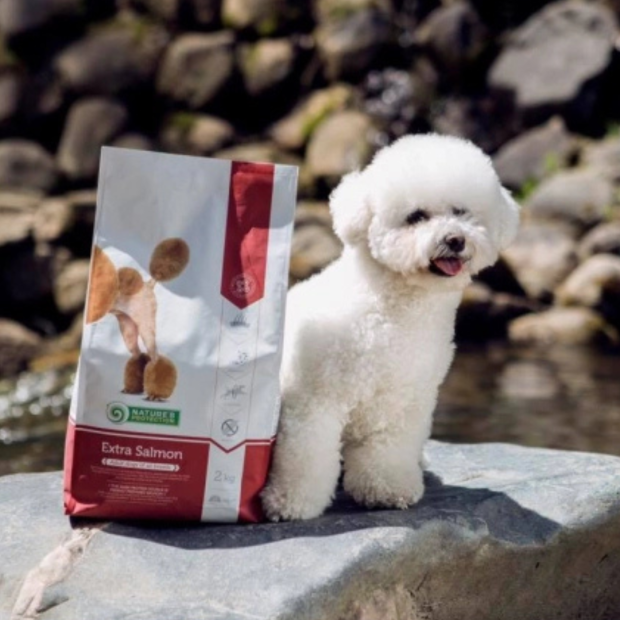 Croquettes Adulte Saumon Nature's Protection pour chien