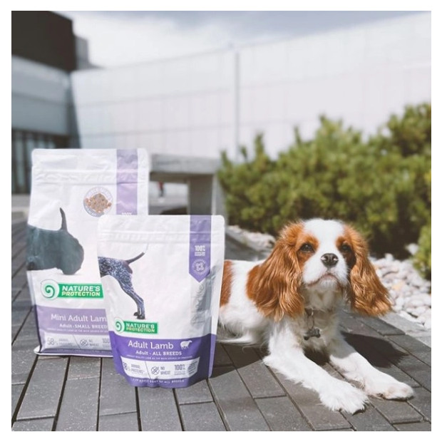 Croquettes Mini Adulte Agneau Nature's Protection