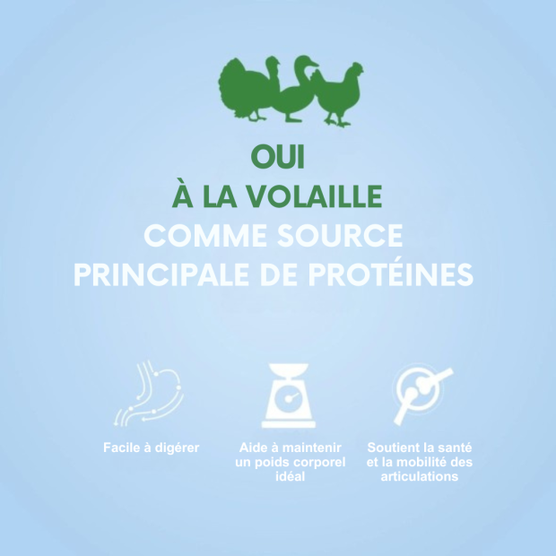 Croquettes Mini Junior Poulet Nature's Protection