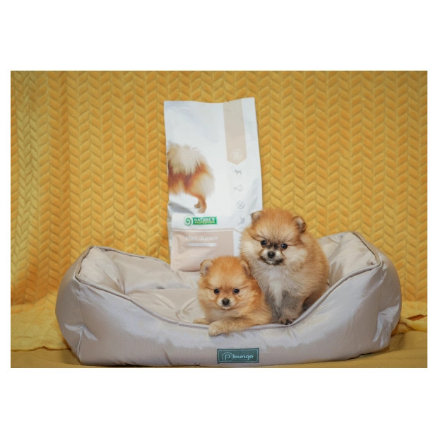 Croquettes Mini Junior Poulet Nature's Protection