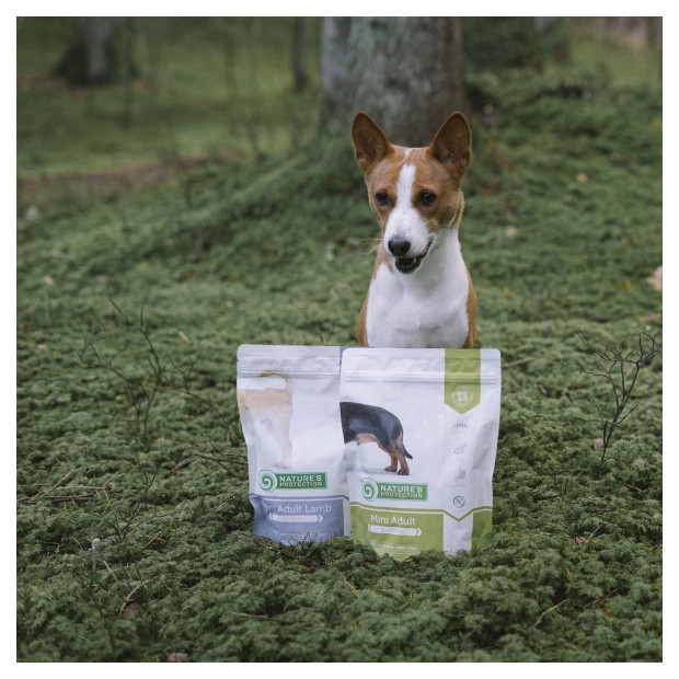 Croquettes Mini Adulte Poulet Nature's Protection