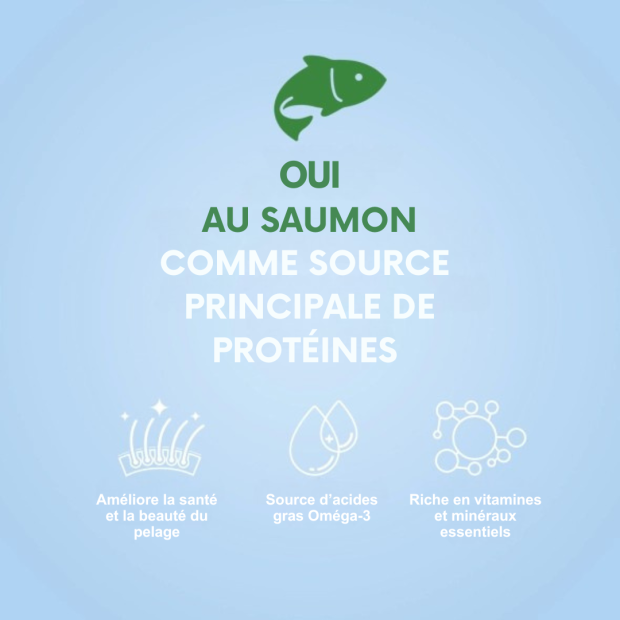 Croquettes Mini Adulte Saumon Nature's Protection