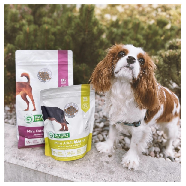 Croquettes Mini Adulte Saumon Nature's Protection