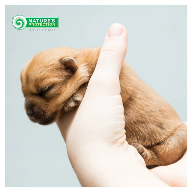 Croquettes Starter Junior Nature's Protection pour le sevrage