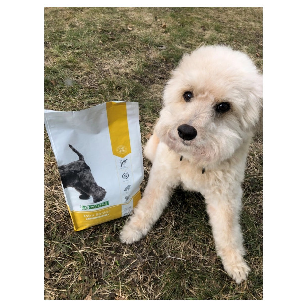 Croquettes Mini Senior Poulet Nature's Protection pour chien