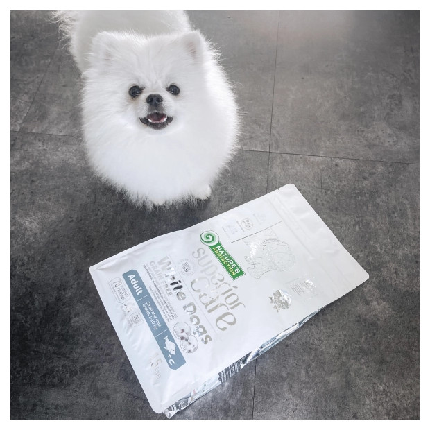 Croquettes pour chien blanc adulte de petites races