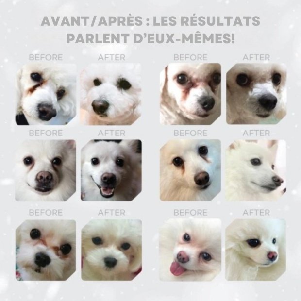 Croquettes pour chien blanc Junior de races moyennes