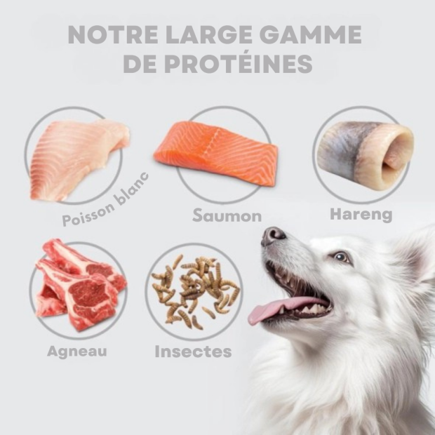 Croquettes Starter chiot blanc Nature's Protection