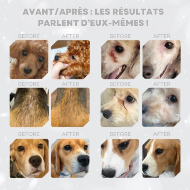 Croquettes pour chien roux adulte, recette au poulet