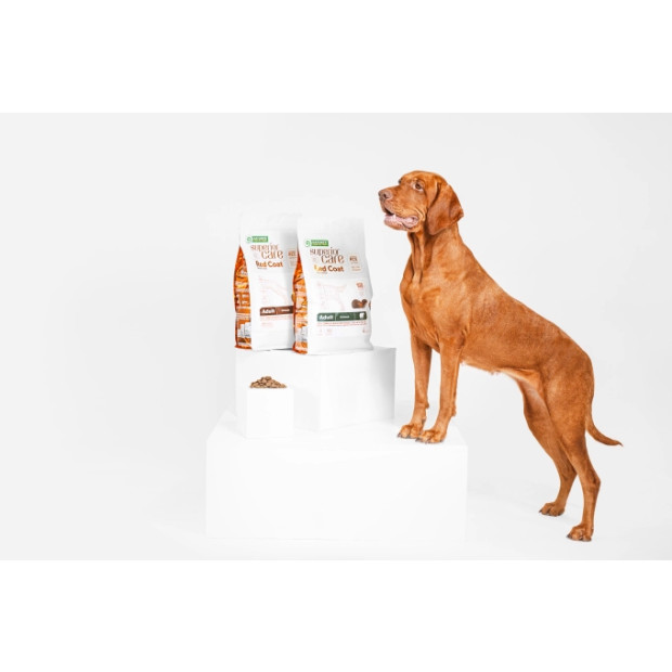 Croquettes pour chien roux adulte, recette au saumon