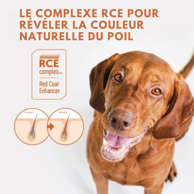 Croquettes Mini Junior Chien Roux Saumon Nature's Protection