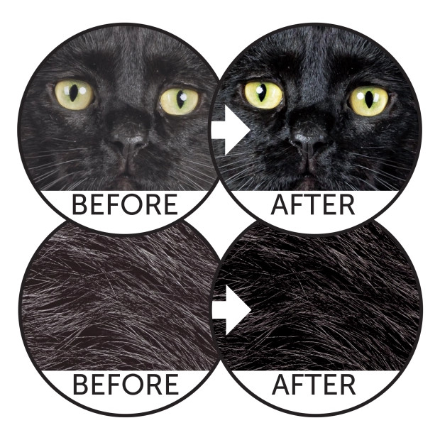 Croquettes chat noir Nature's Protection pour renforcer le pigment