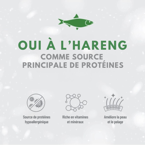 Croquettes chat blanc Nature's Protection