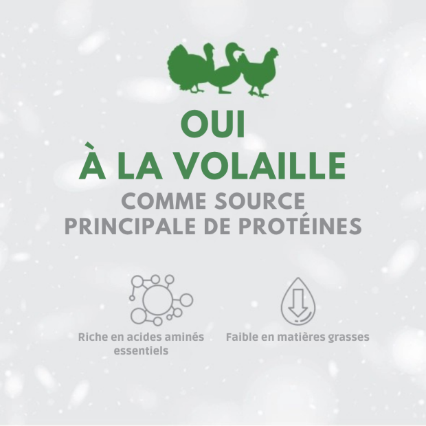 Croquettes Chat Urinary Nature's Protection équilibrées