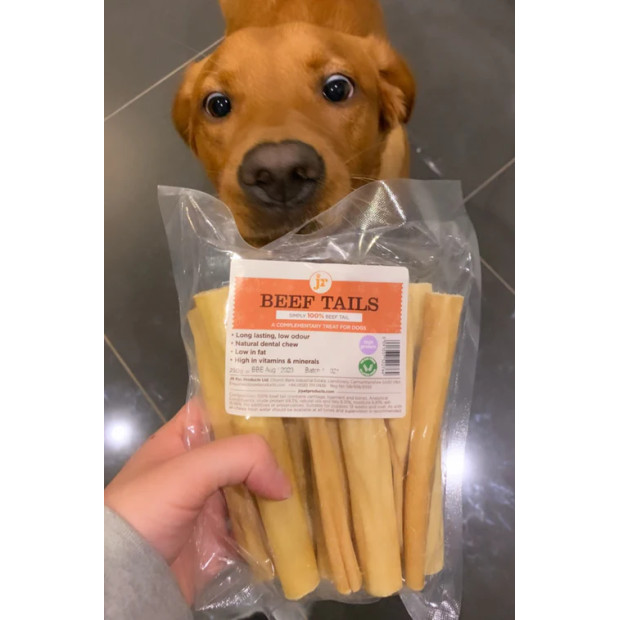 Queue de boeuf pour chien et chiot JR Pet Products