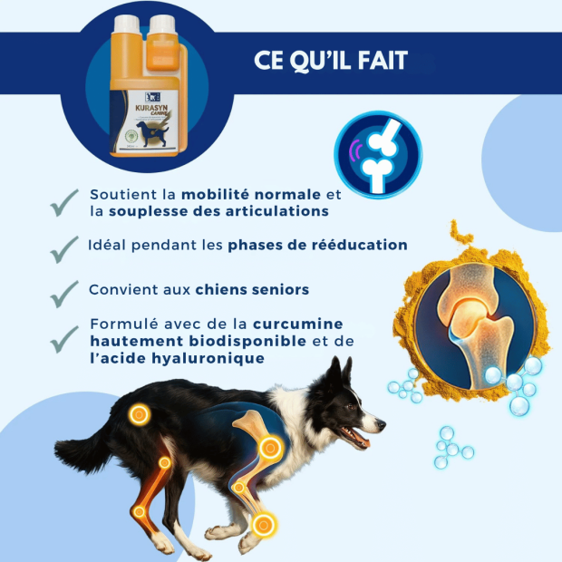 Kurasyn Canine TRM articulations