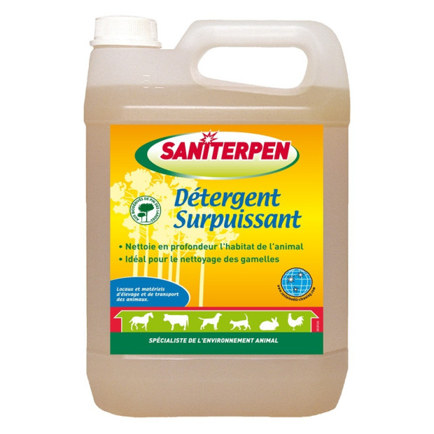 Detergent surpuisant saniterpen