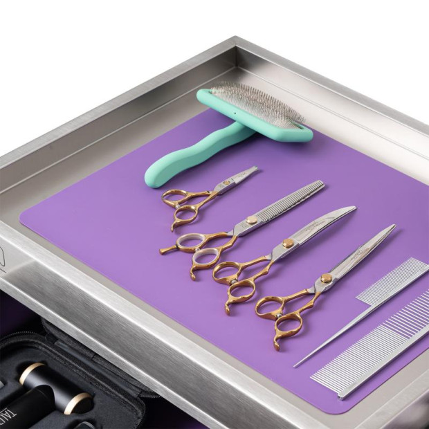 Armoire acier inoxydable Tauro Pro Line