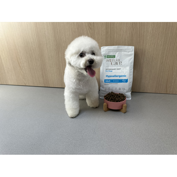 bichon