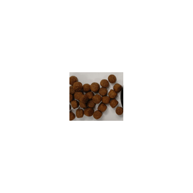 Croquettes Chien Insectes Veterinary Diet Nature’s Protection