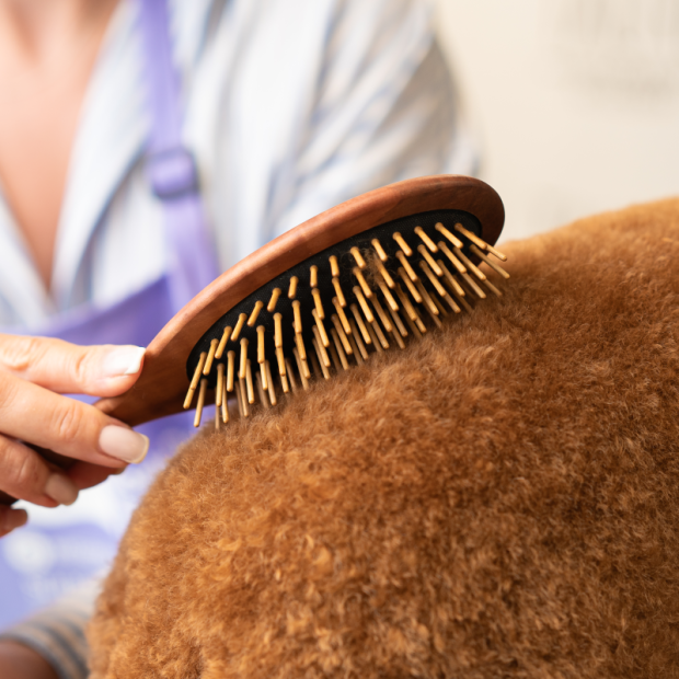 brosse-prestige-bois-de-poirier-Tauro-Pro-Line-utilisation