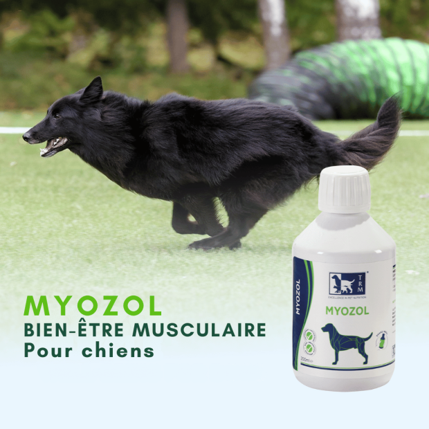 Myozol TRM