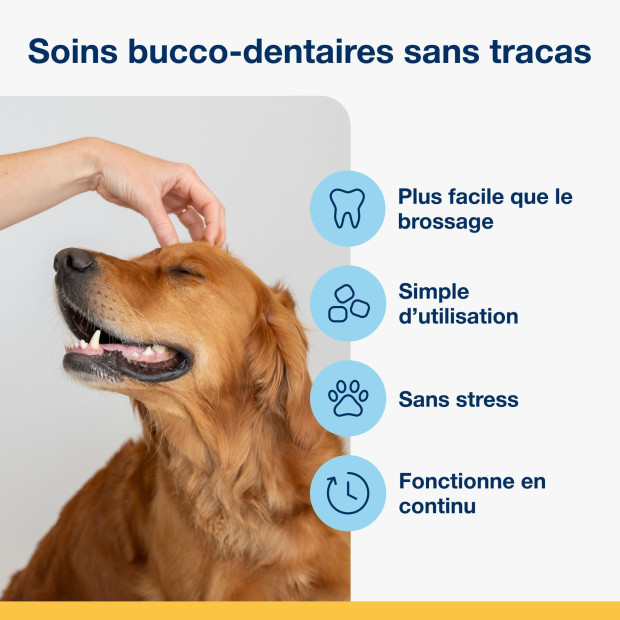 Soft Chews ProDen PlaqueOff lutte contre le tartre