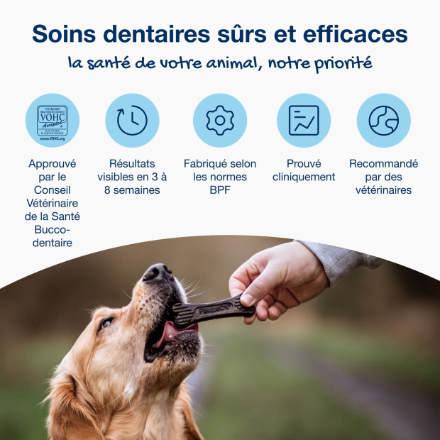 Dental care bones veggie Proden PlaqueOff