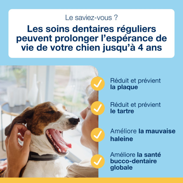 Dental care bones veggie Proden PlaqueOff