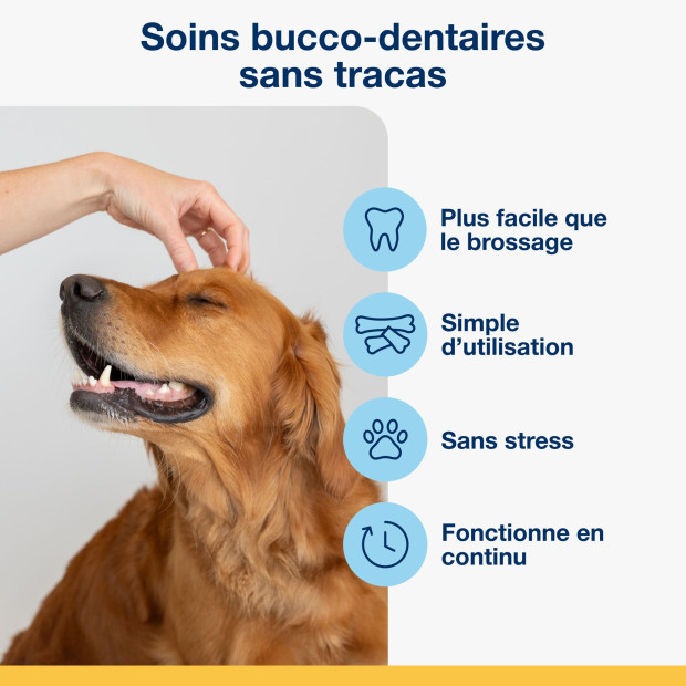 Dental care bones veggie Proden PlaqueOff