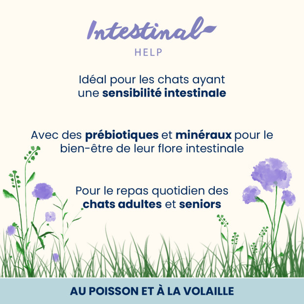 Multipack Holistic Digestive Almo Nature pour chat