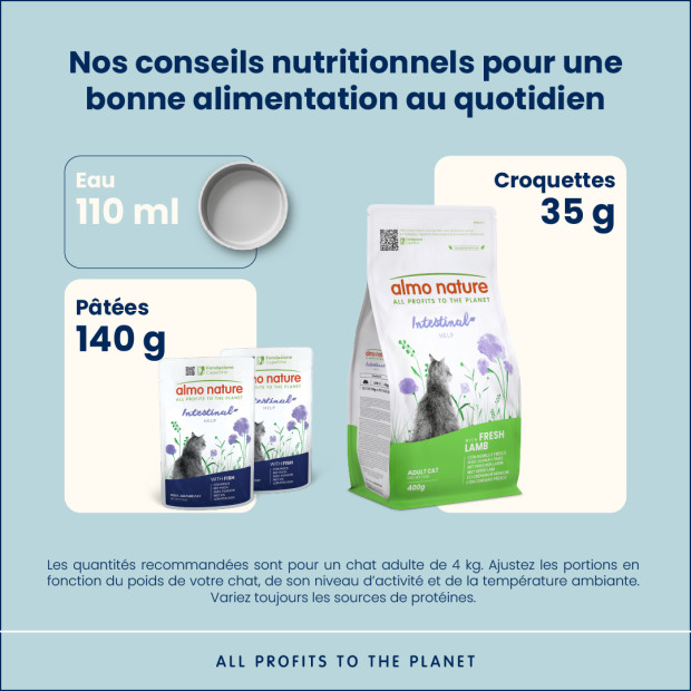 Multipack Holistic Digestive Almo Nature pour chat