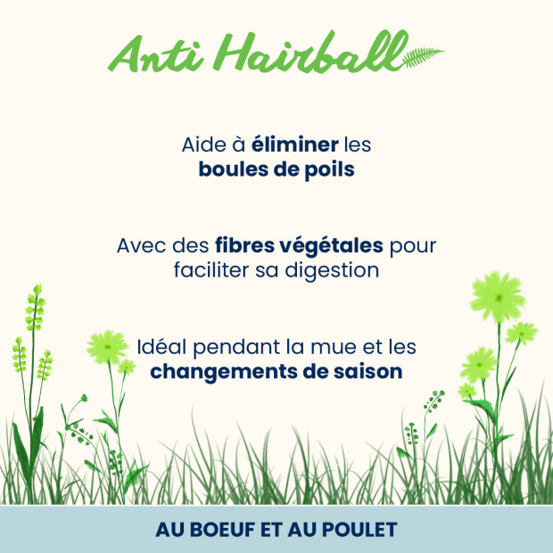 Multipack Holistic Anti Hairball Almo Nature pour chat