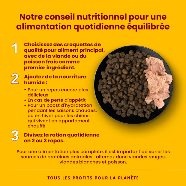 Boite HFC Natural classic pâtée pour chien 95g Almo Nature