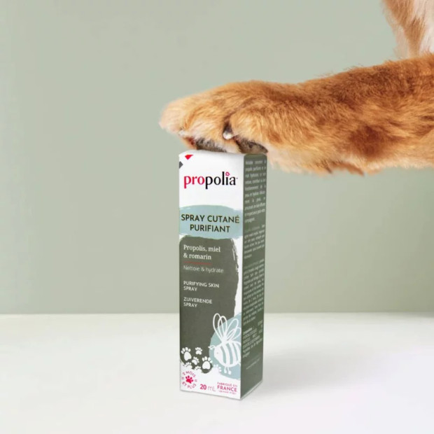 Spray cutané purifiant Propolia pour chiens et chats