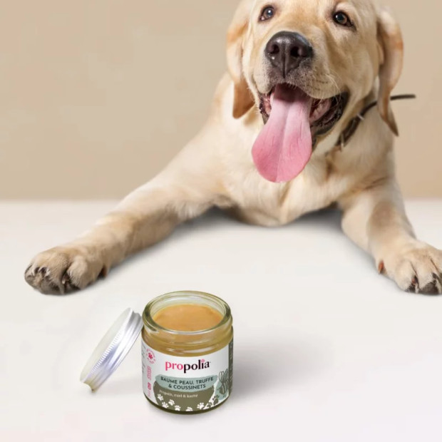 Propolia-Baume-peau-coussinets-CCN