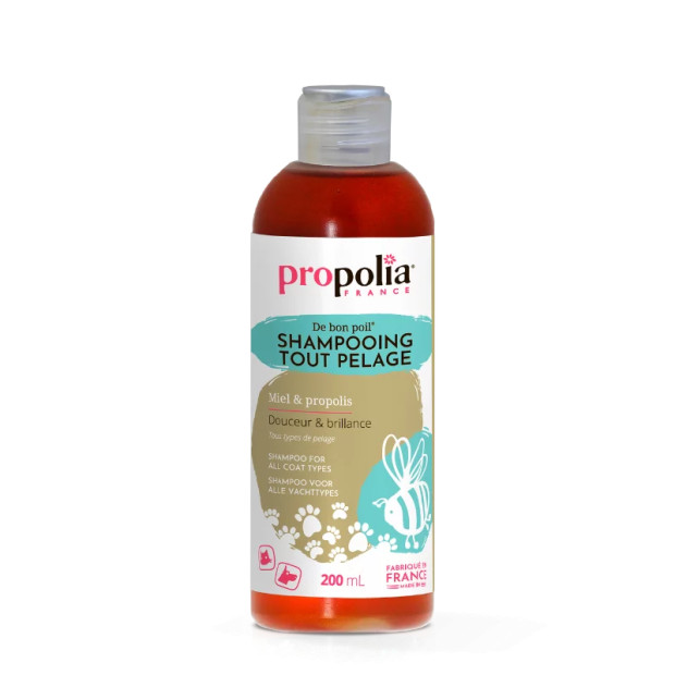 Propolia-Shampoing-miel-CCN