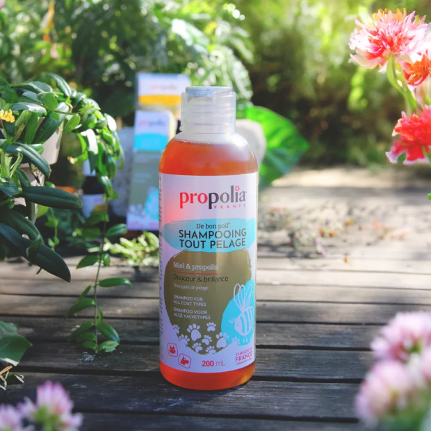 Propolia-Shampoing-miel-CCN