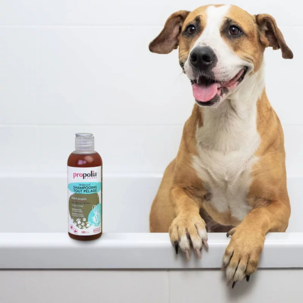 Propolia-Shampoing-miel-CCN