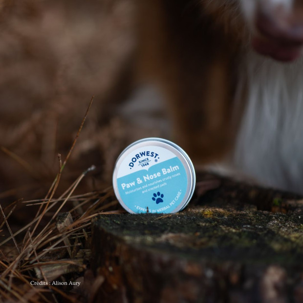 Baume coussinets truffe Dorwest pour chiens et chats