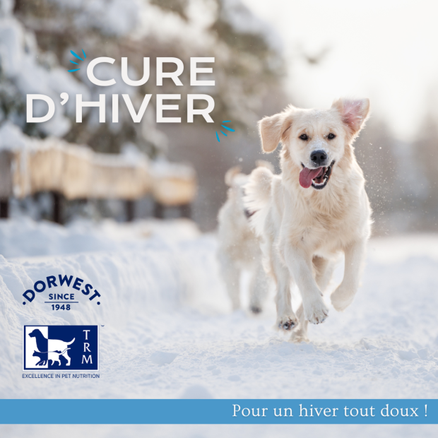 CURE D'HIVER 9