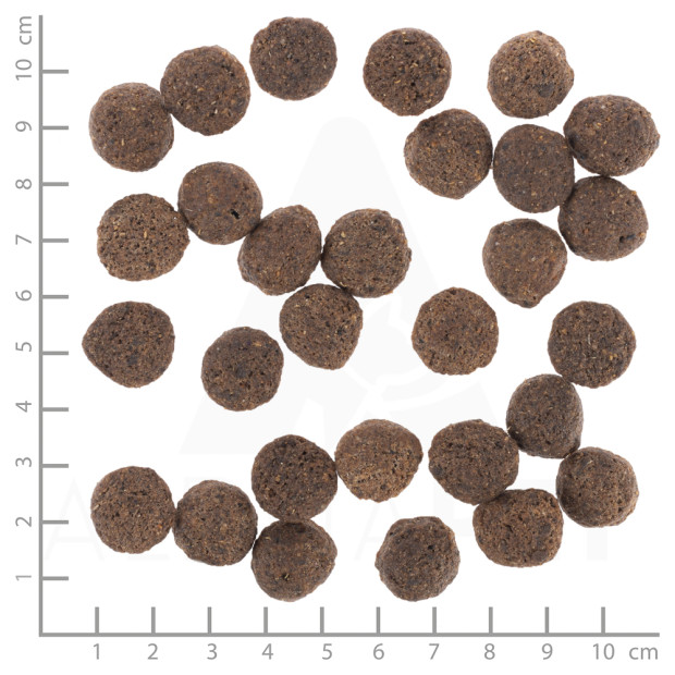 Taille-des-croquettes